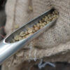 cây xăm lấy mẫu cà phê - Inox Ri Phát