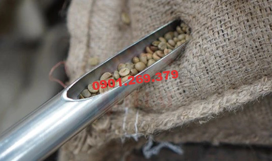 cây xăm lấy mẫu cà phê - Inox Ri Phát cây xăm lấy mẫu cà phê - Inox Ri Phát