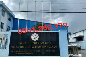 Lắp Cột cờ inox tại Công ty Cổ phần Vật tư Tổng hợp và Phân bón Hóa Sinh, Long An