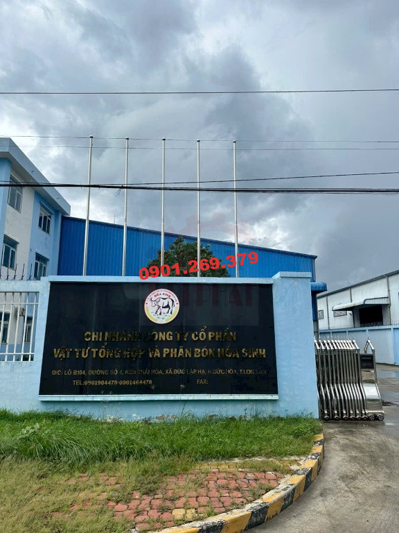 Lắp Cột cờ inox tại Công ty Cổ phần Vật tư Tổng hợp và Phân bón Hóa Sinh, Long An